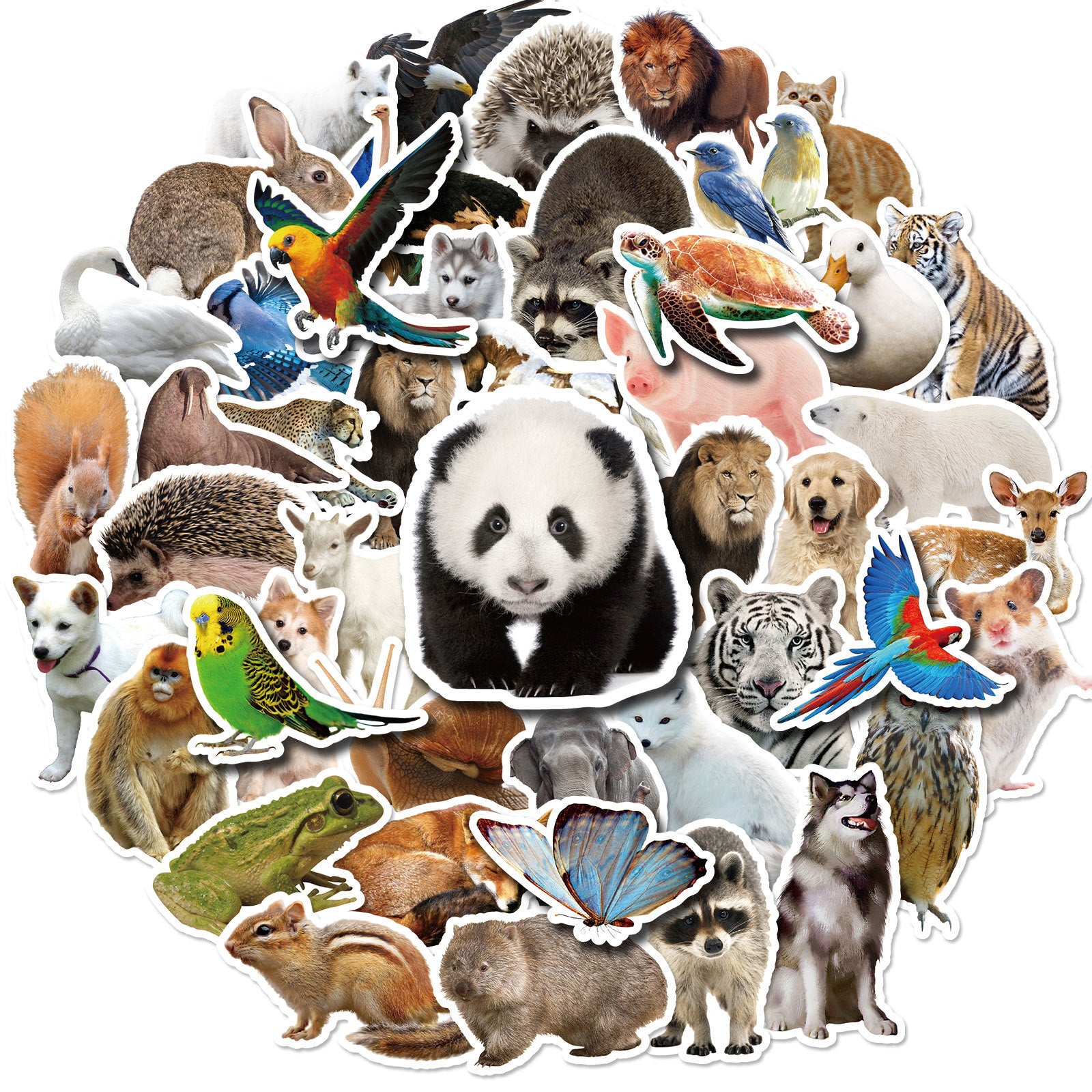 Wholesale 50pcs various styles of stickers personalized DIY decorative stickers unicorn waterproof stickers